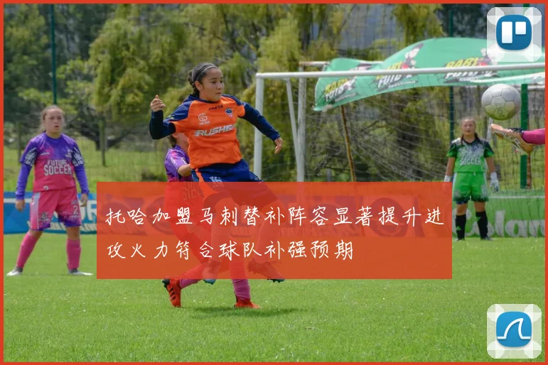 托哈加盟马刺替补阵容显著提升进攻火力符合球队补强预期